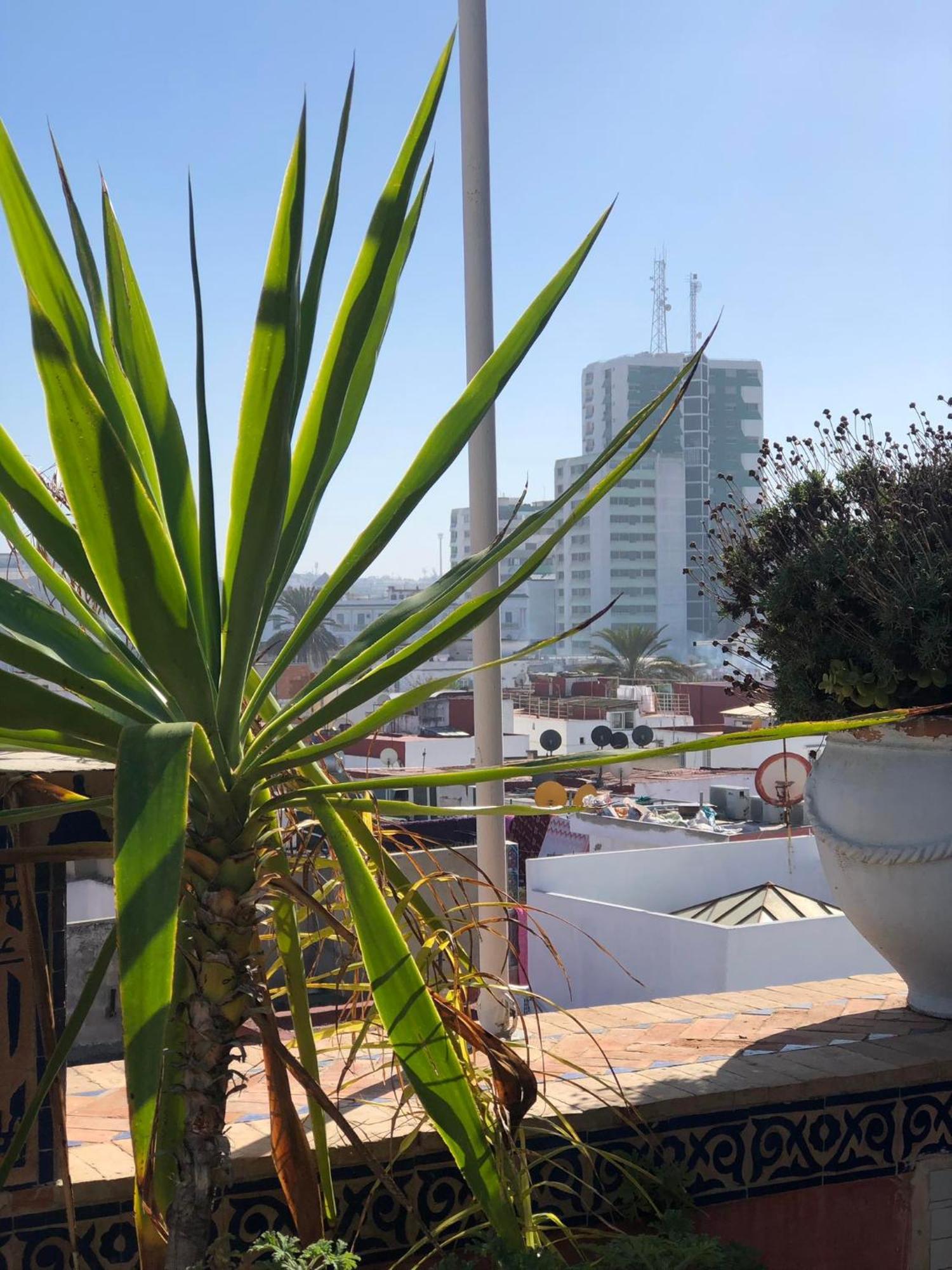 Riad Razoli Sidi Fateh Rabat